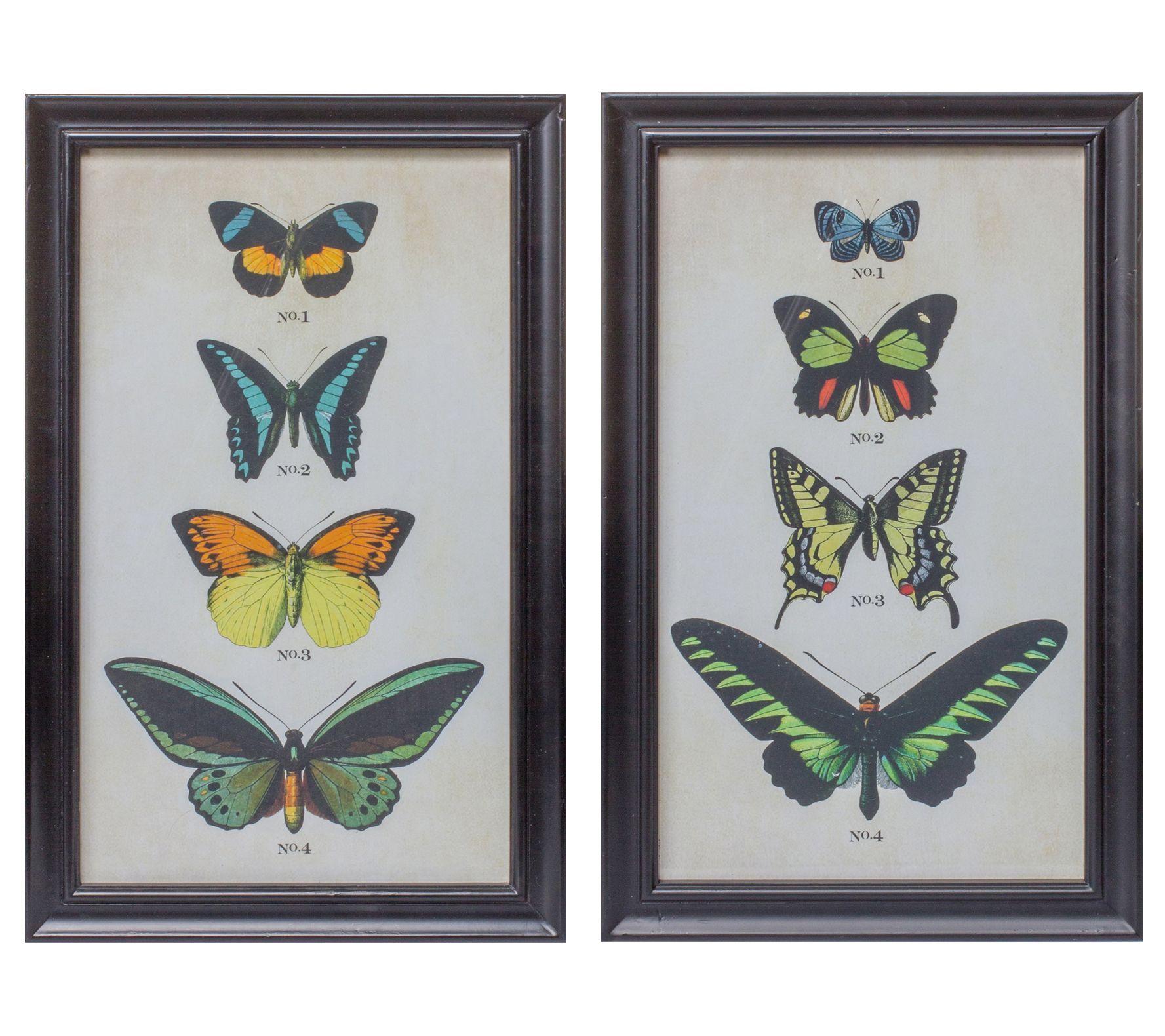 Melrose International Framed Butterfly Print (S et of 2)