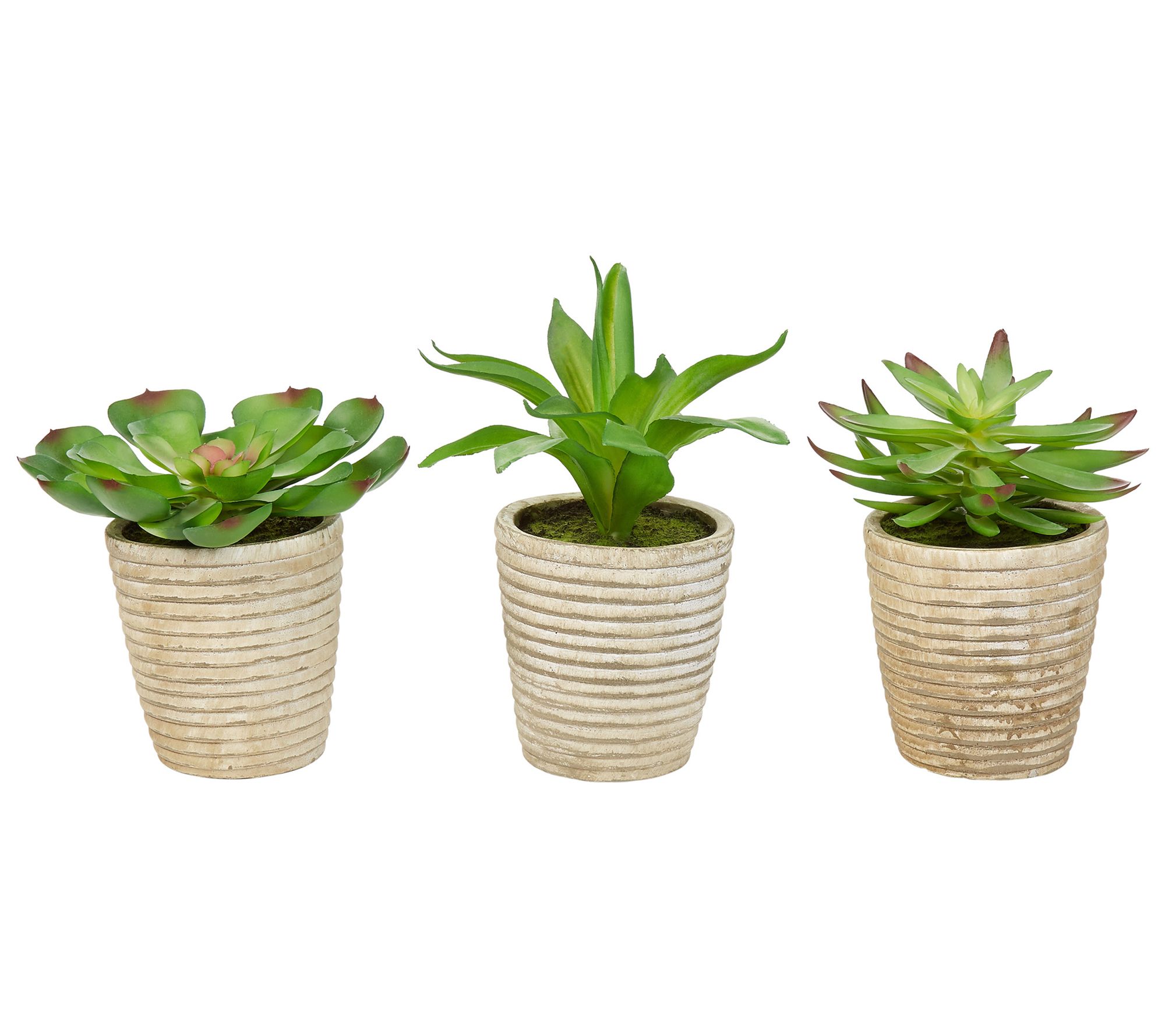 Pure Garden 3-Piece Lifelike Potted Faux Succulent Arrangement
