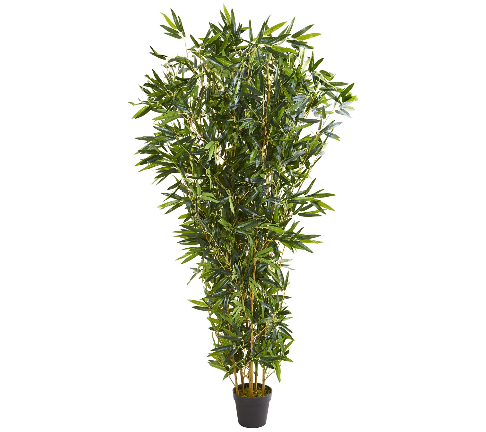 6’ Bamboo Artificial Tree (Real Touch) UV Resistant (Indoor/Outdoor)  |  Nearly Natural