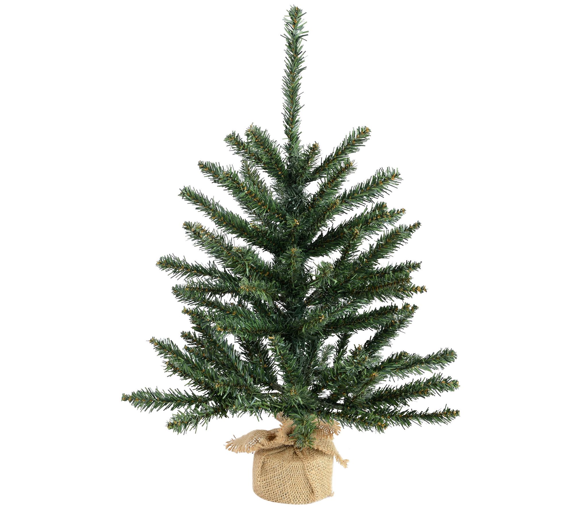 2' Anoka Pine Tree with Burlap Base by Vickerma n