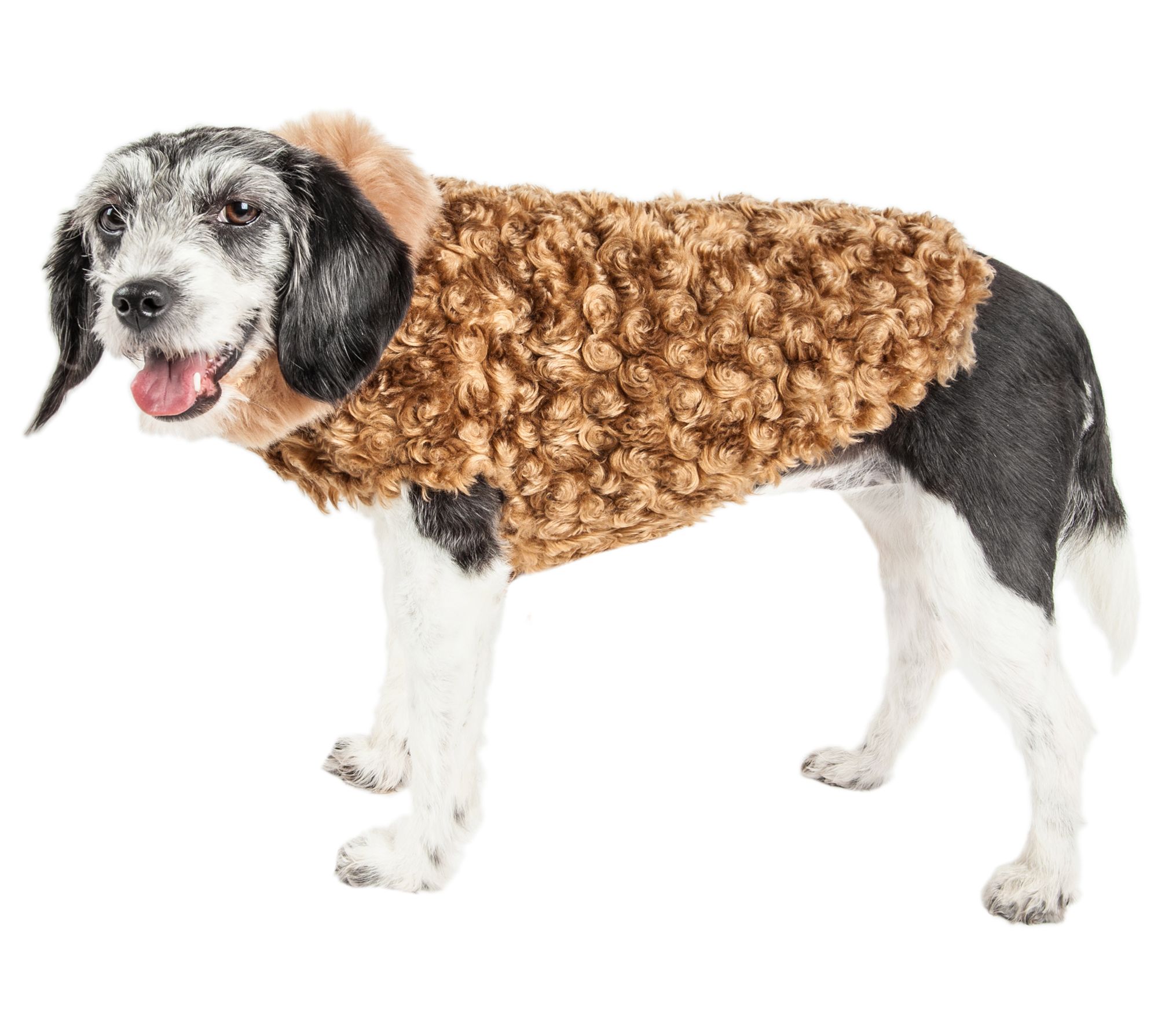 Pet Life Luxe 'Furpaw' Shaggy Elegant Designer Dog Coat Jacket