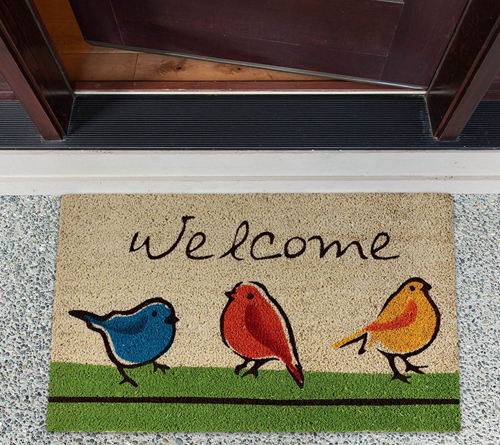 For The Birds Natural Coir Doormat With Nonslipback