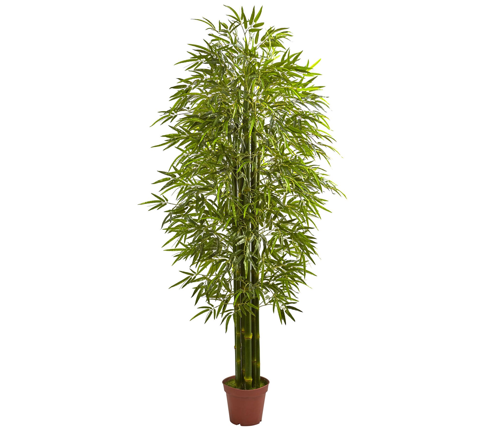 7' Bamboo Tree by Nearly Natural