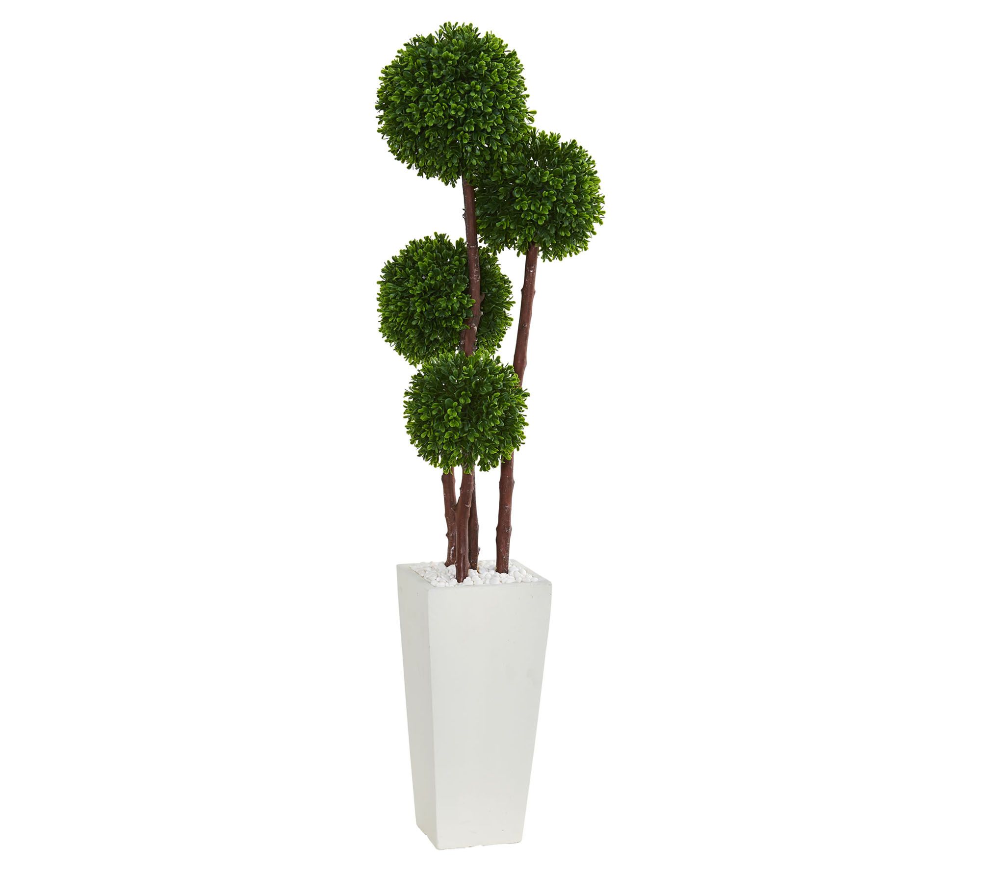4' Boxwood Topiary Tree in Planter by Nearly Na tural