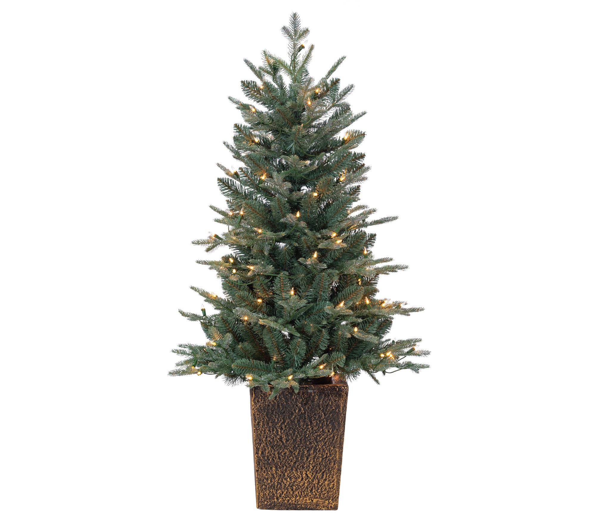 4'H Potted Nat Cut Blue Spruce with 100 Lights y Sterling Co