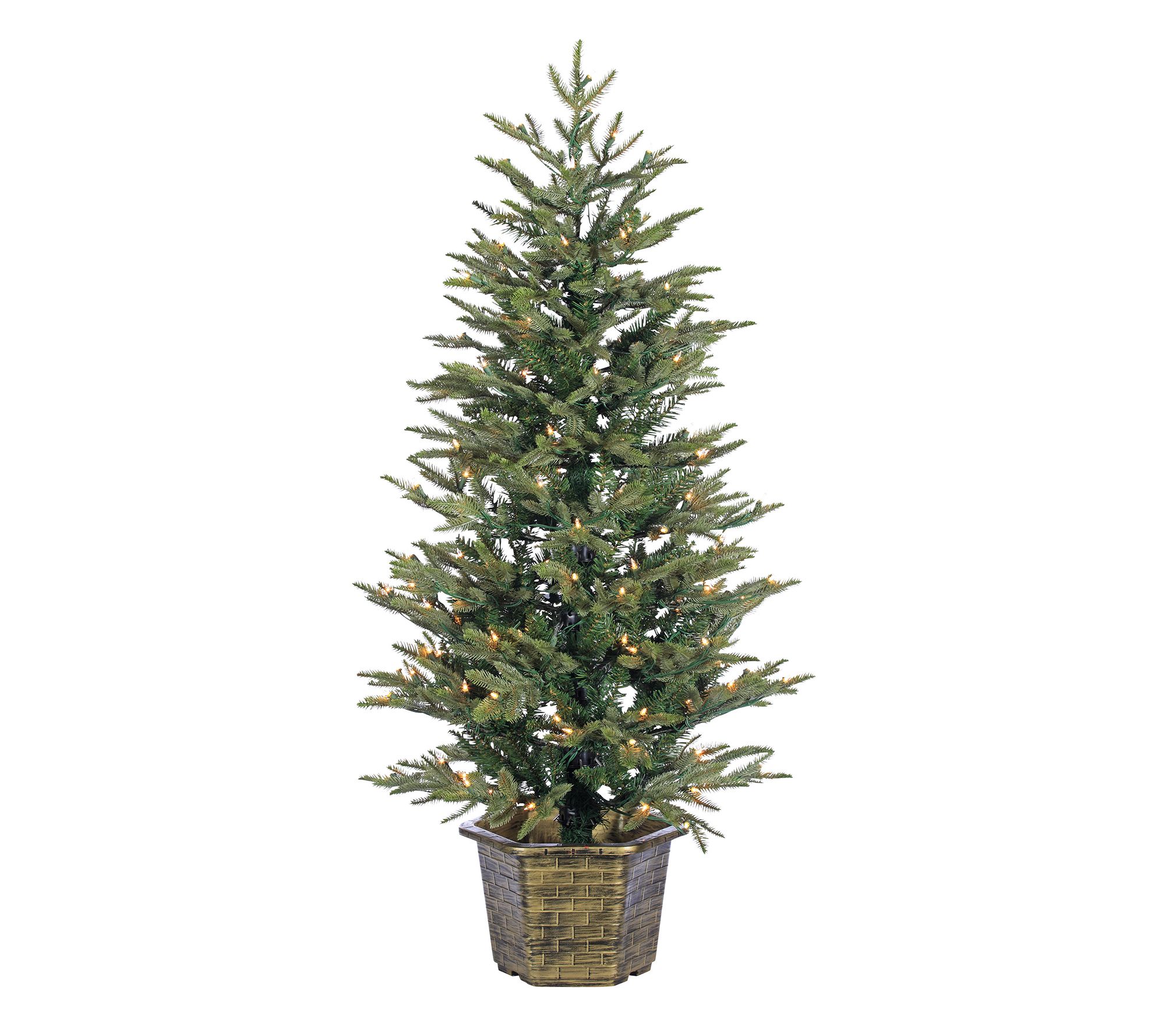 4.5' Potted Nat Cut Eastern Pine w/ 150 Lights y Sterling Co