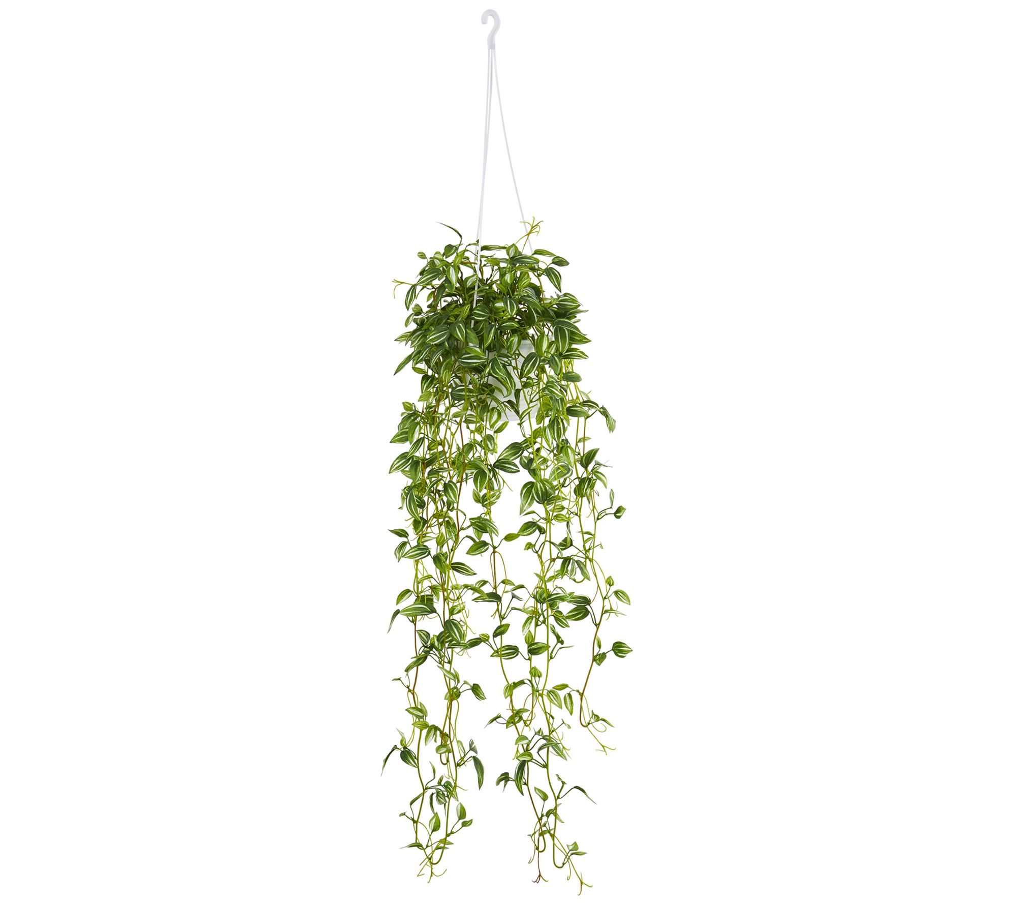 Variegated Wandering Jew Hanging Pot by NearlyNatural