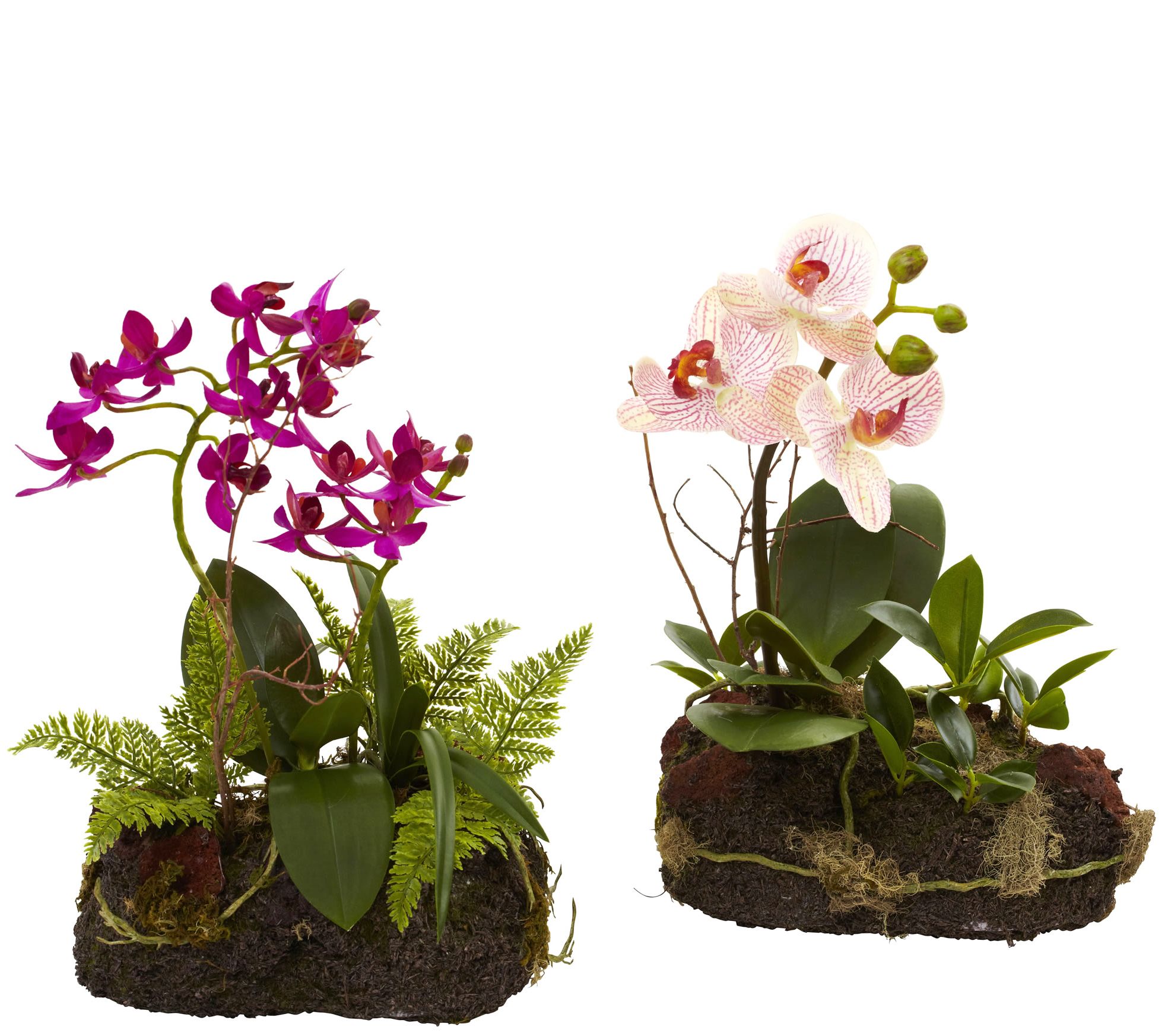 Set of 2 Orchid Island Arrangement by Nearly Na tural