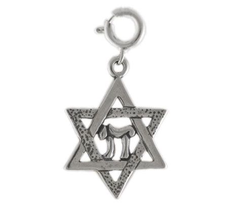 Sterling Star of David Charm