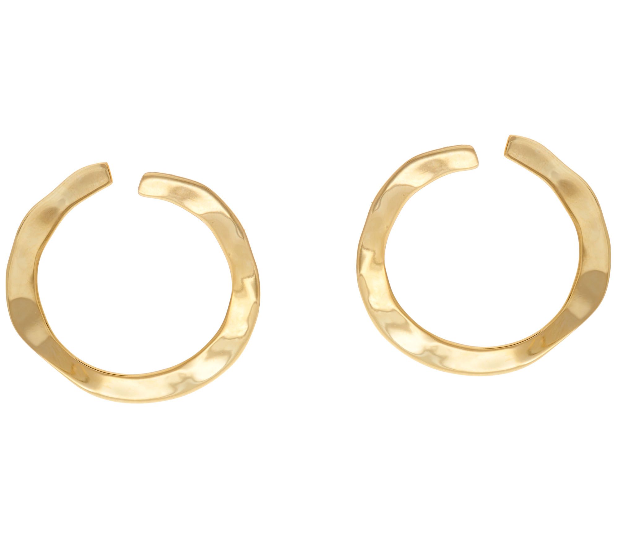 RLM Bronze Front Facing Circle Hoop Earrings - Page 1 — QVC.com