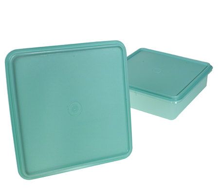 Tupperware Set of 2 Snack-Stor Containers — QVC.com