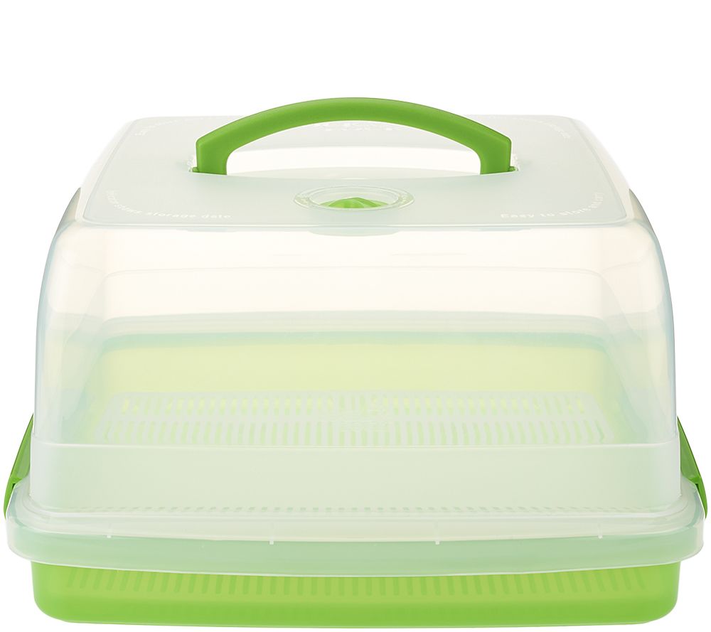 Lock & Lock Double Layer Cake Container w/ Handle - K43365 — QVC.com