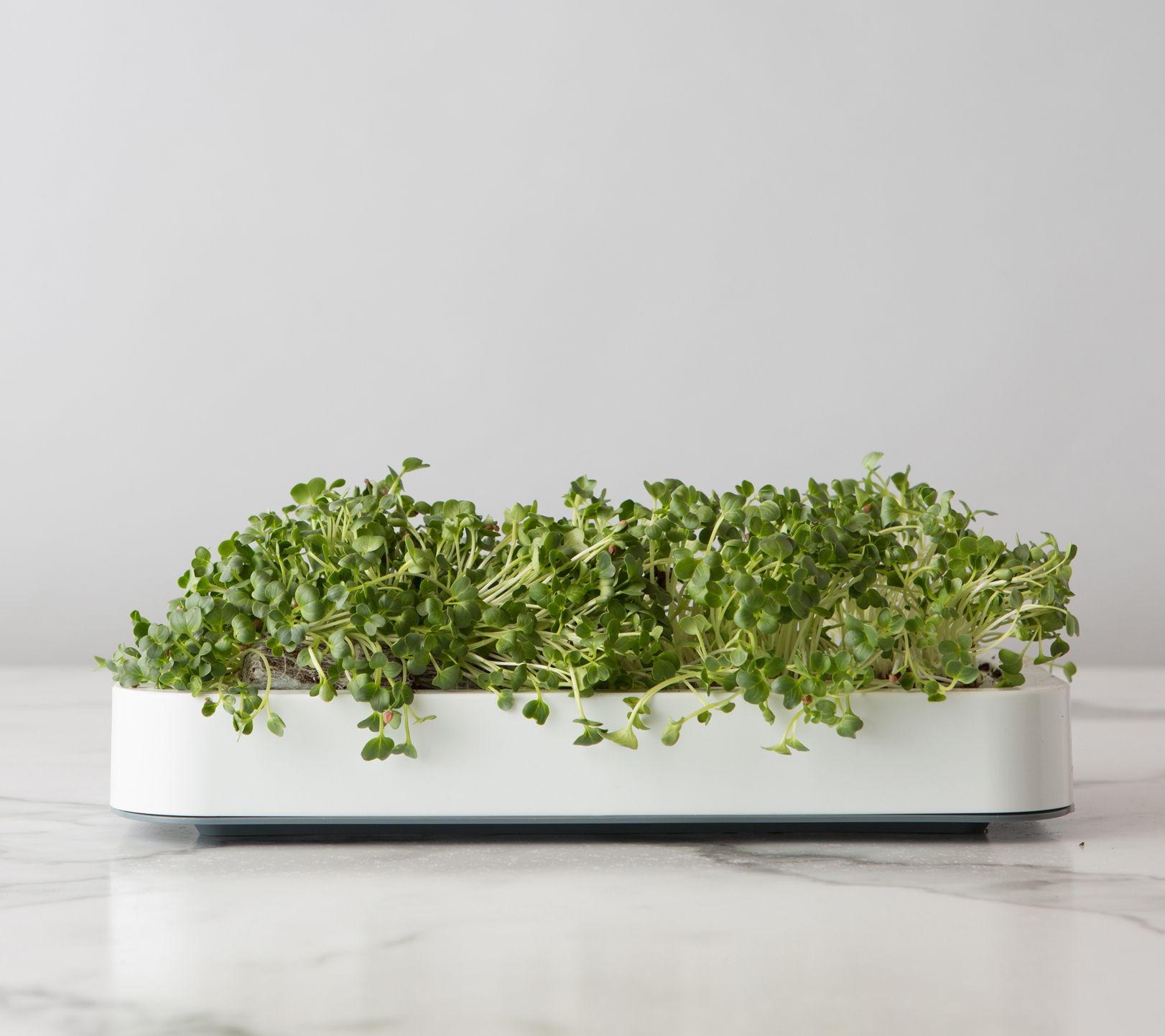 Chef'n Microgreen Grower