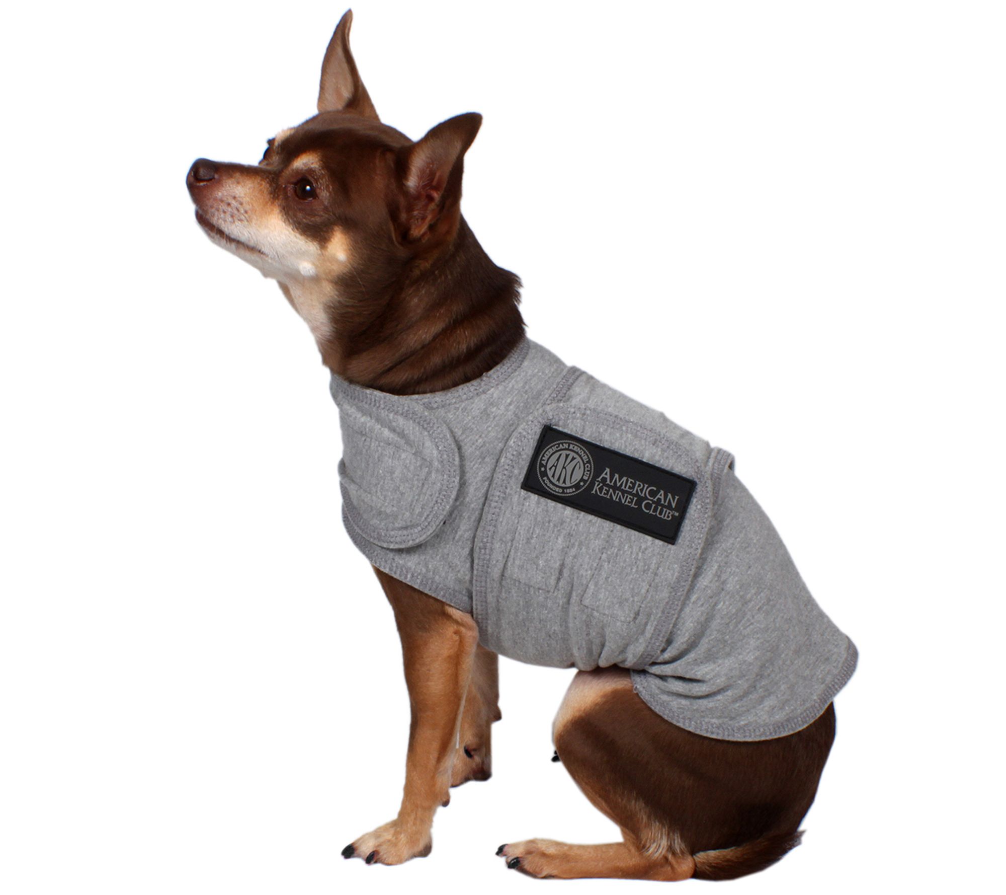 AKC Extra Small Dog Calming Coat — QVC.com