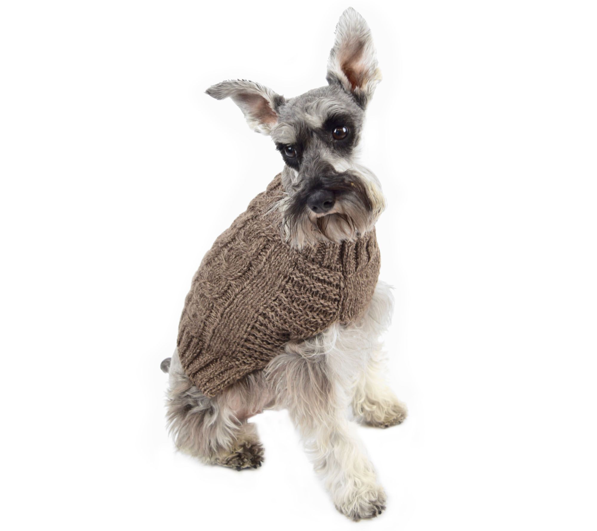 ugg sweater for dogs