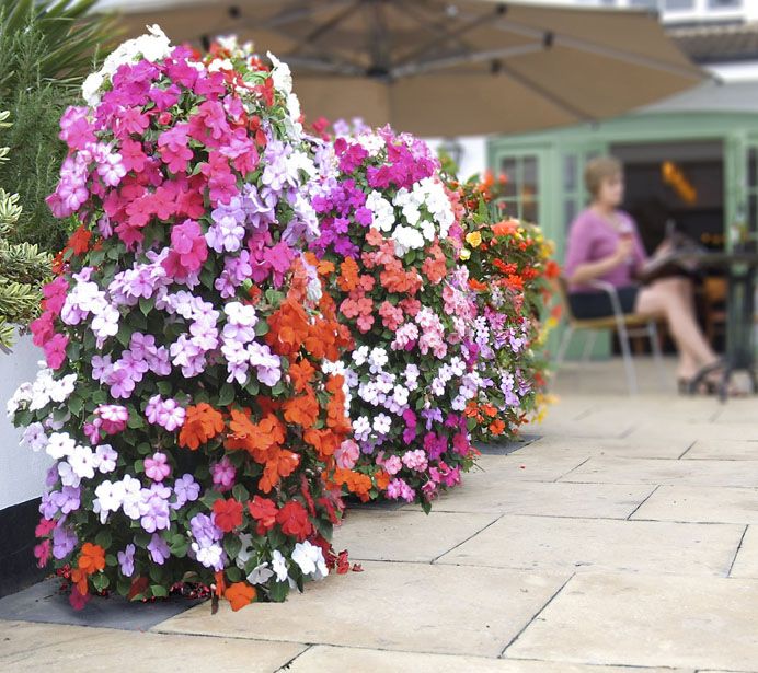 UPC 870519000057 product image for Set of 2 Flower Tower 34
