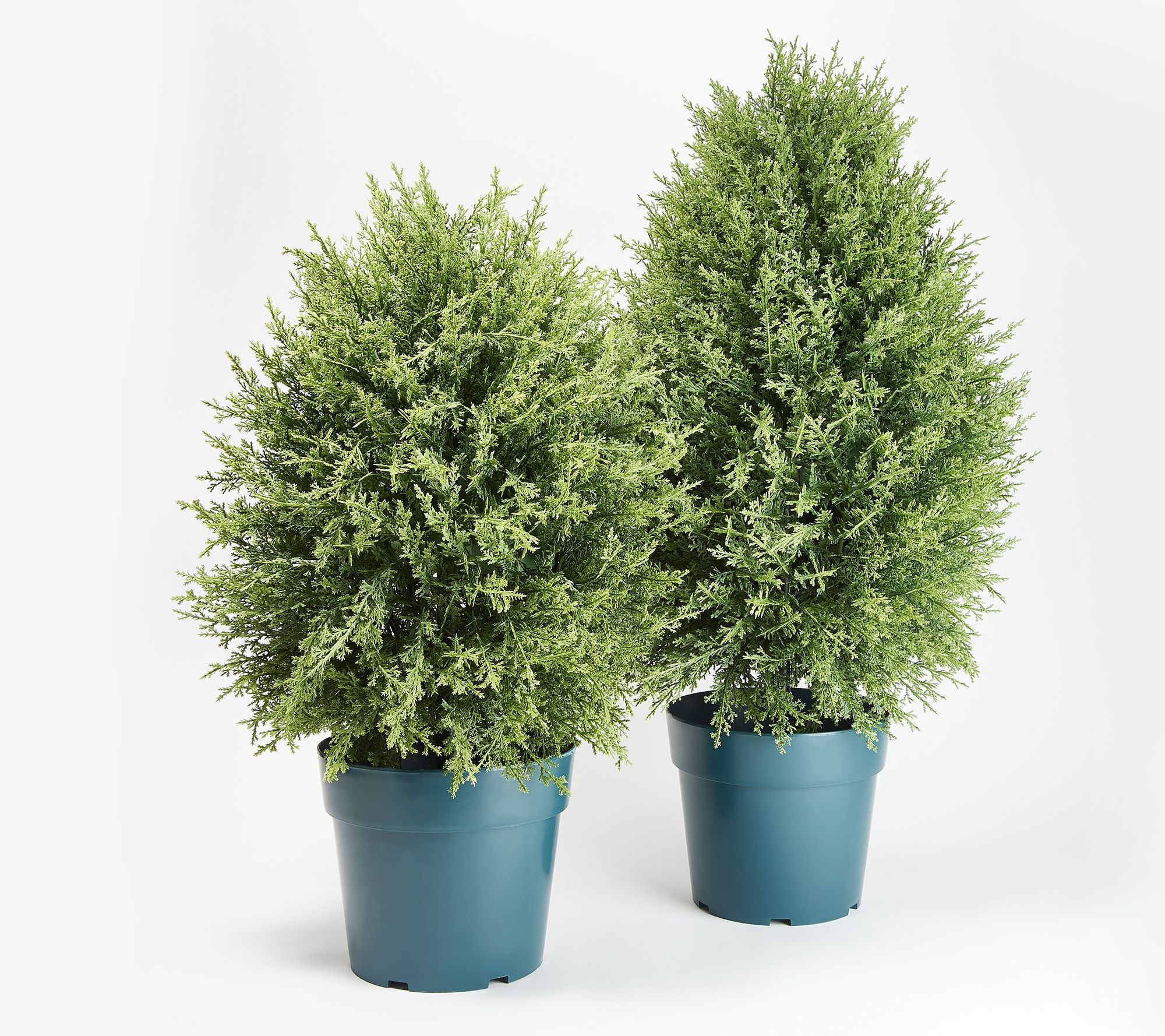 National Tree 26" or 32" Indoor/Outdoor Cypress Tree w/ Growers Pot