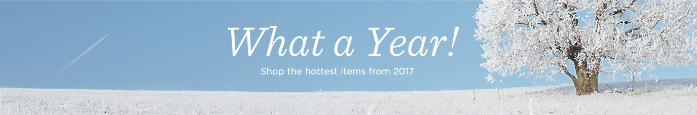 What a Year!  Shop the hottest items from 2017.