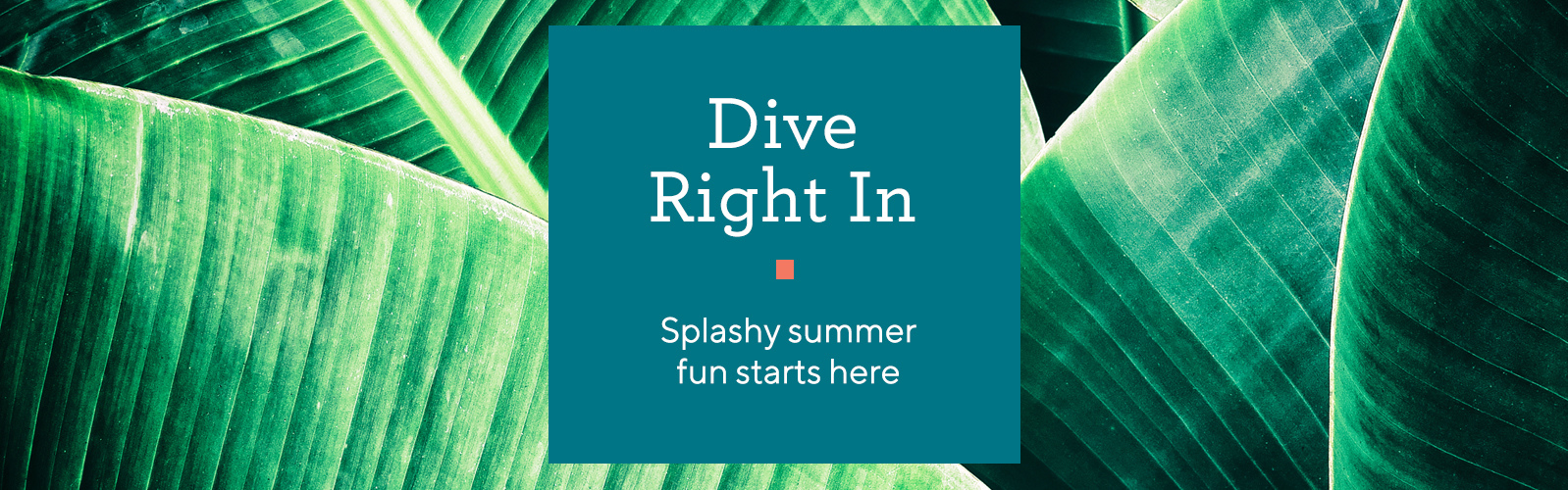 Dive Right In  Splashy summer fun starts here