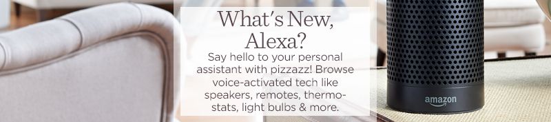 Qvc alexa hot sale spot