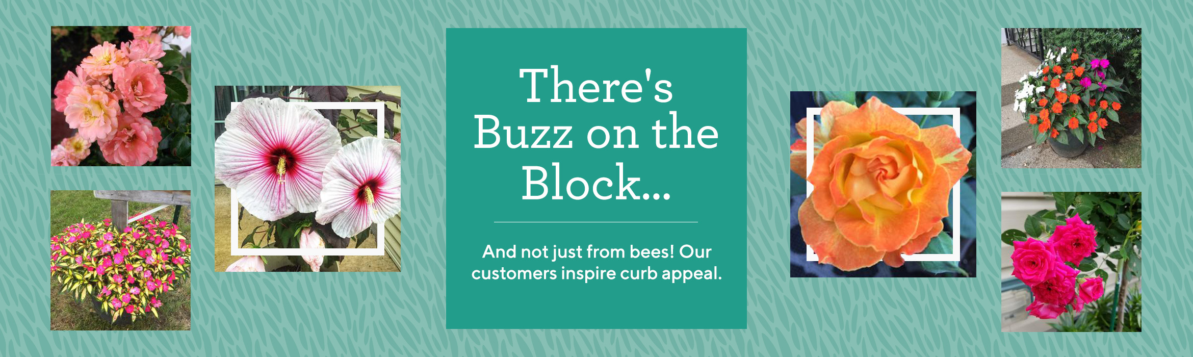 Cottage Farms — Seeds, Plants & Gardening Supplies —