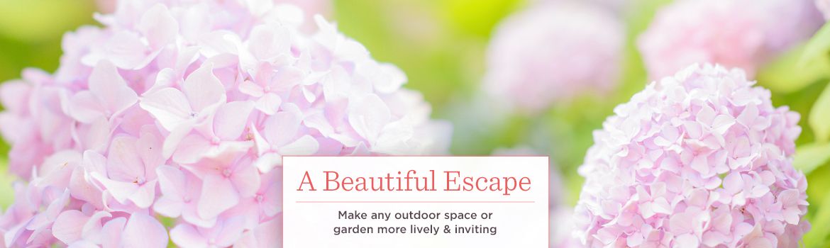 Patio Garden For The Home Qvc Make Any Outdoor E Or Garden More Lively Inviting
