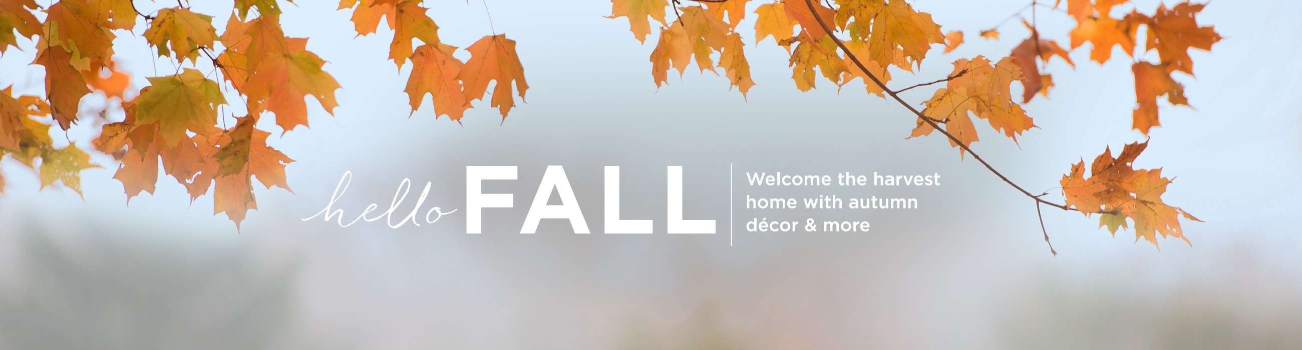 Seasonal Favorites Home Décor Qvc Welcome The Harvest Home With Autumn Décor More