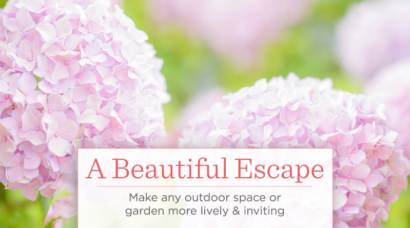 Patio Garden For The Home Qvc Make Any Outdoor E Or Garden More Lively Inviting