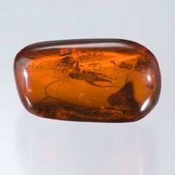 qvc amber jewelry