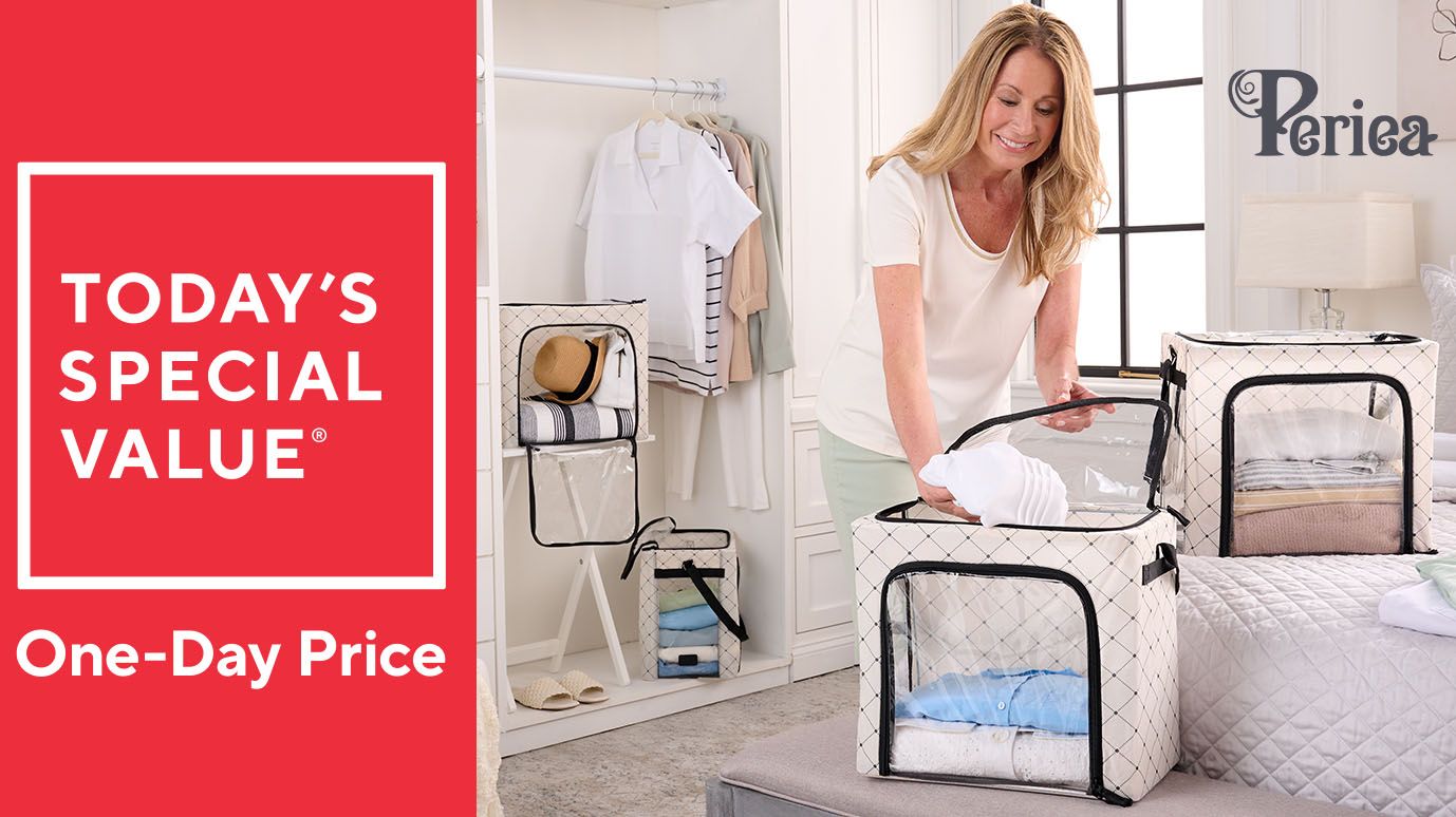 Periea Set of 4 Collapsible Storage Boxes w/ Carry Strap
