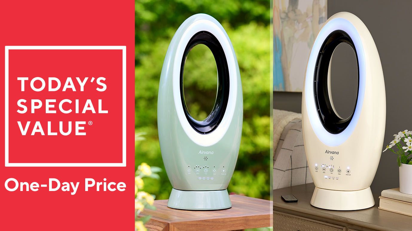 Airvana Cordless Indoor/Outdoor 4-Speed Bladeless Fan
