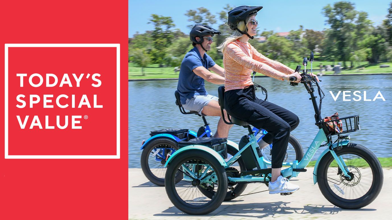 Vesla Folding Low-Step 750W E-Trike w/16MPH Speed & Accessories