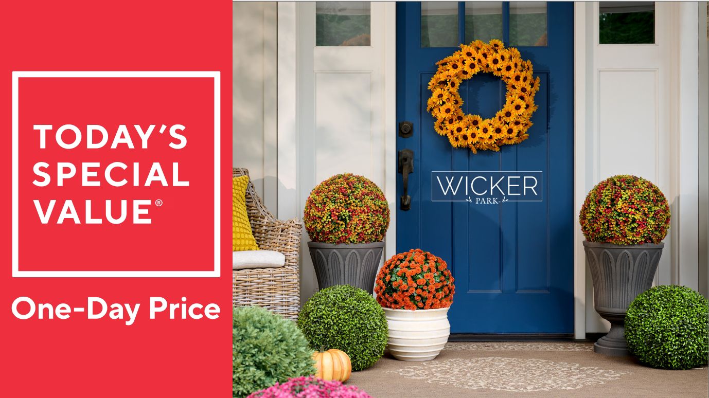 Wicker Park Indoor/Outdoor Faux Floral S/2 Spheres or 24" Wreath