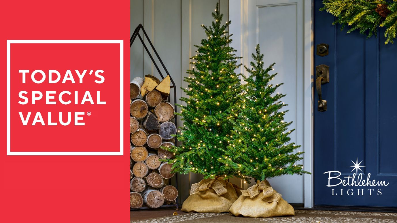 Bethlehem Lights Indoor/Outdoor Mini Tree w/ 4-in-1 LEDs