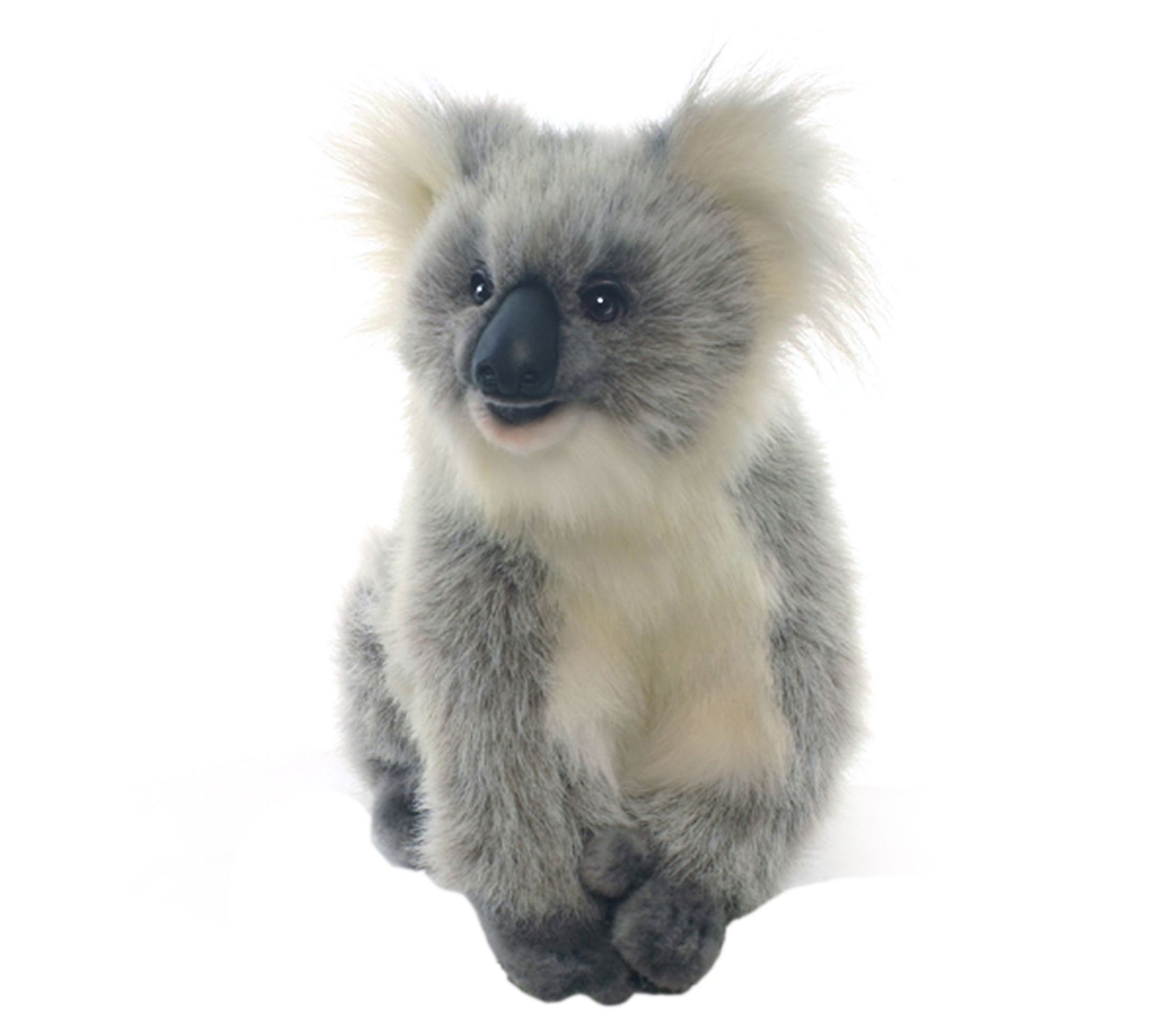 Hansa 9 Baby Koala Plush Qvc Com