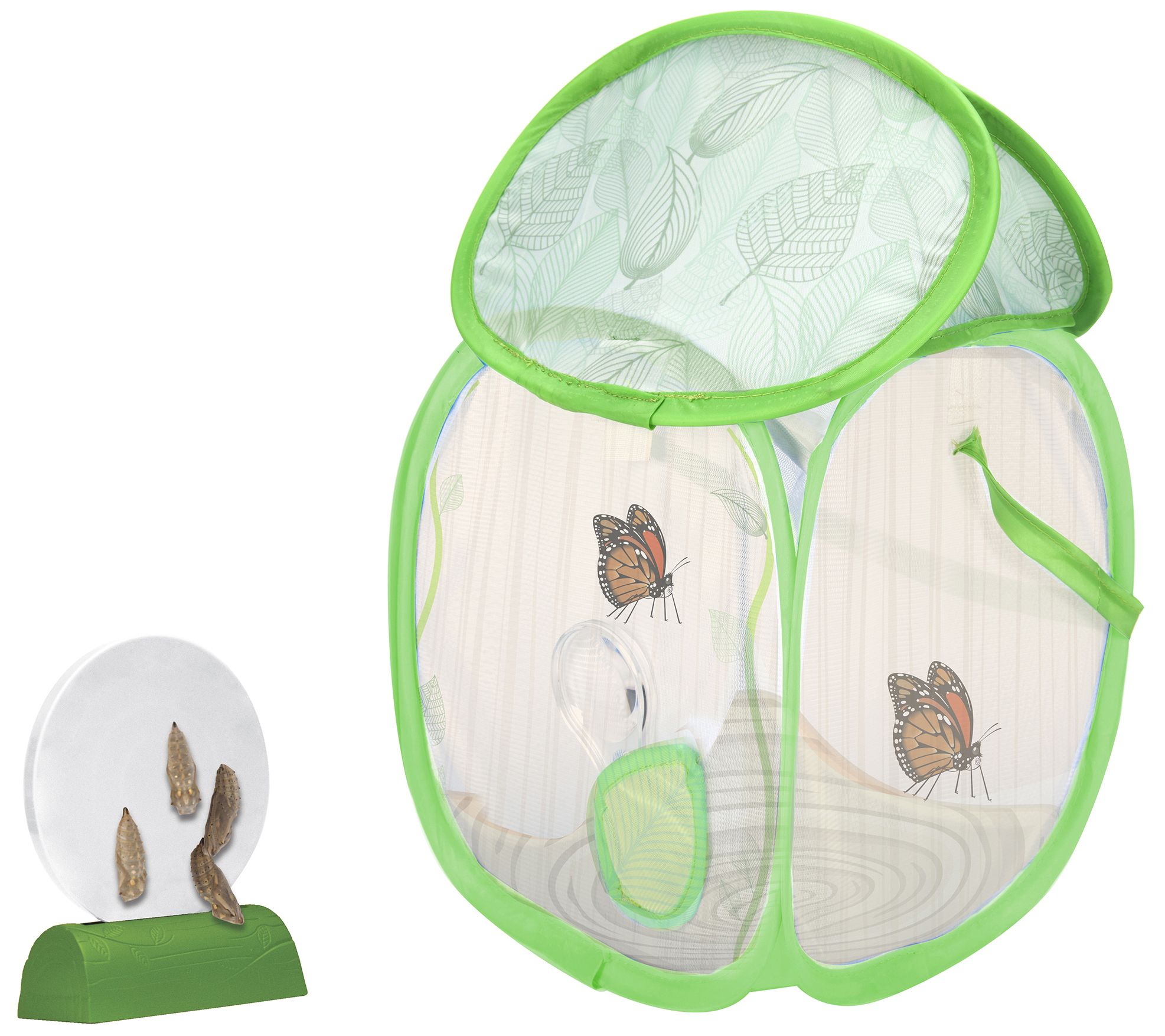 Educational Insights GeoSafari Jr. Butterfly Bu ngalow