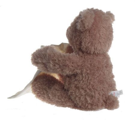 peek a boo interactive teddy bear