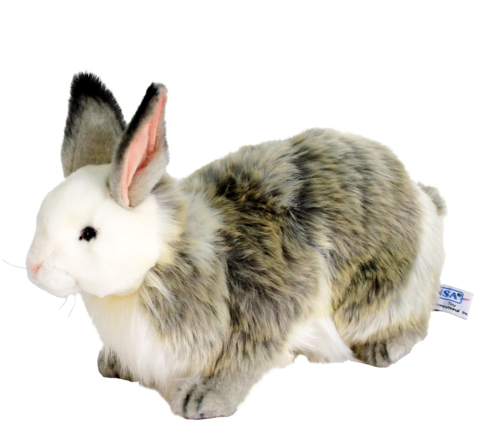 hansa jack rabbit