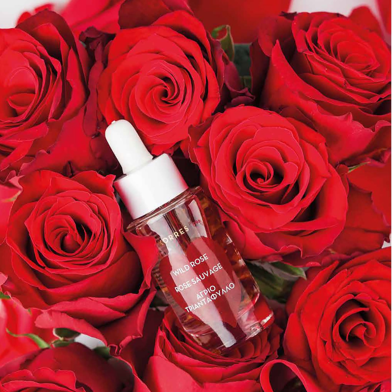 Korres Wild Rose Advance Brightening Facial Oil 30ml QVC UK