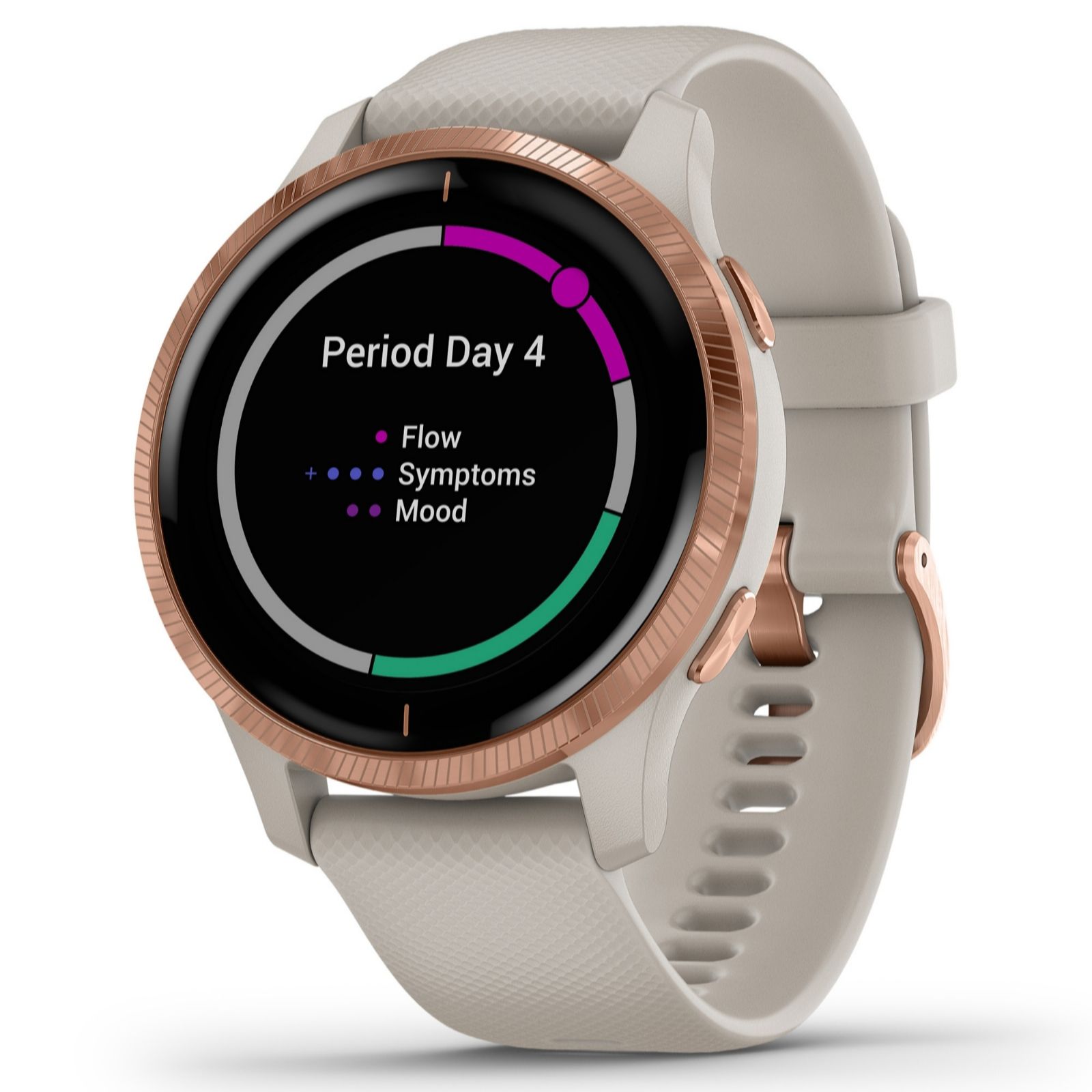 garmin smartwatch with gps navigation