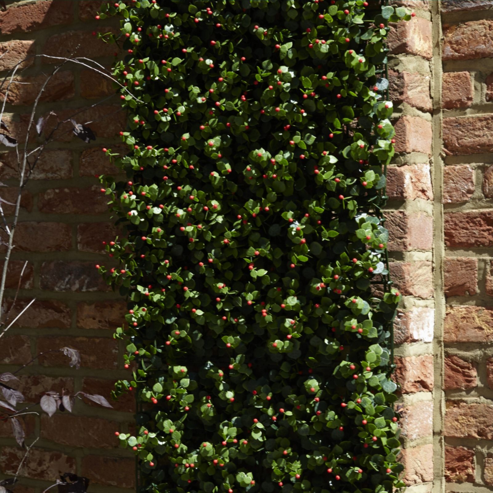 Garden Reflections 8 Panel 2m sq Faux Berries & Greenery Living Wall