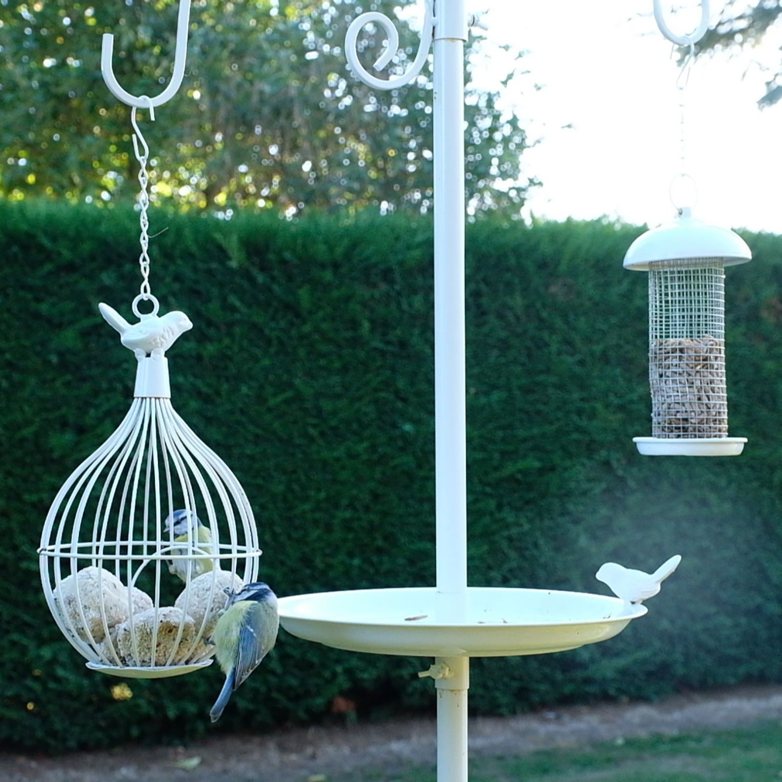Grumpy Gardener Decorative Bird Feeding Station Qvc Uk