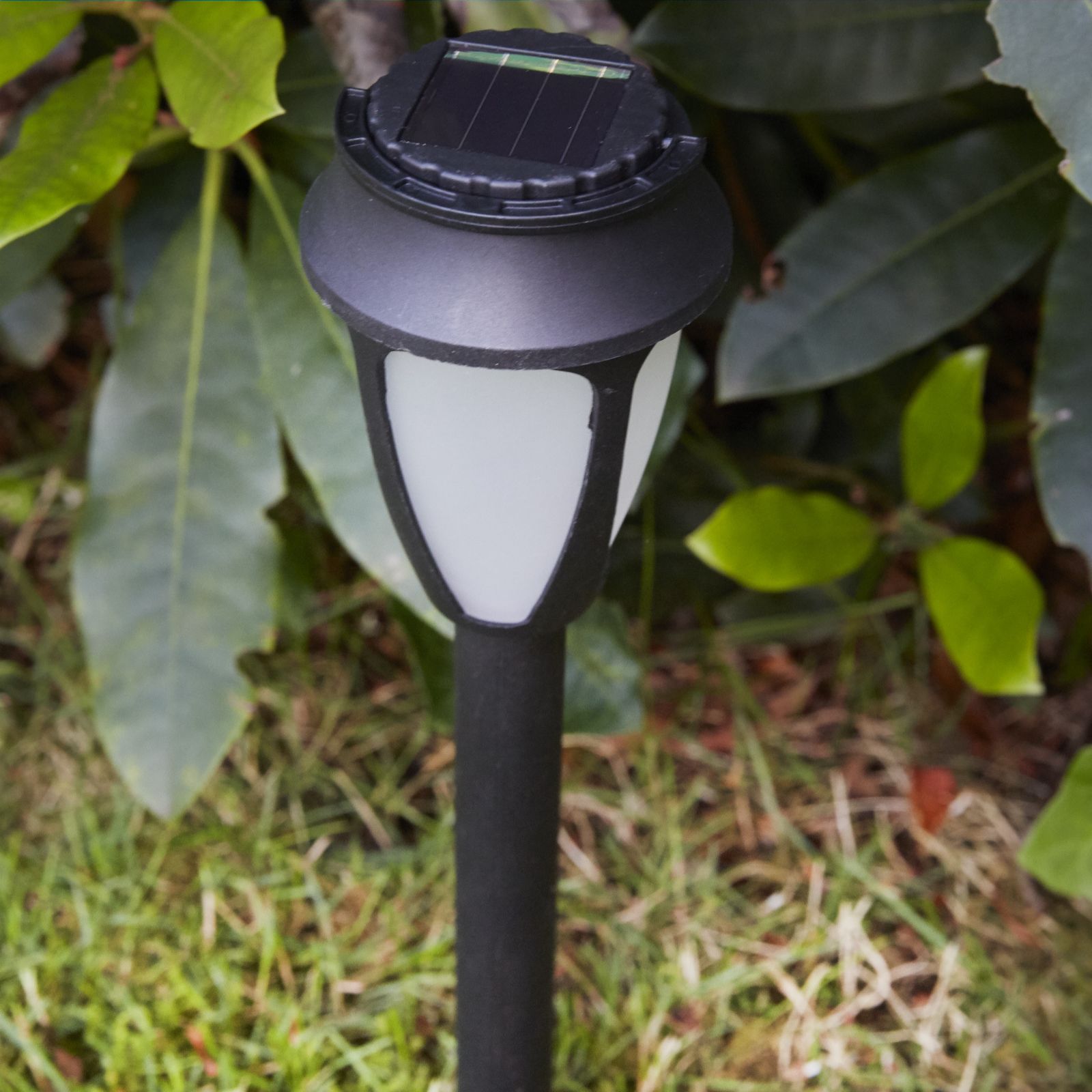 Luxform 12 Colour Changing Solar LED Party Garden Lights - QVC UK