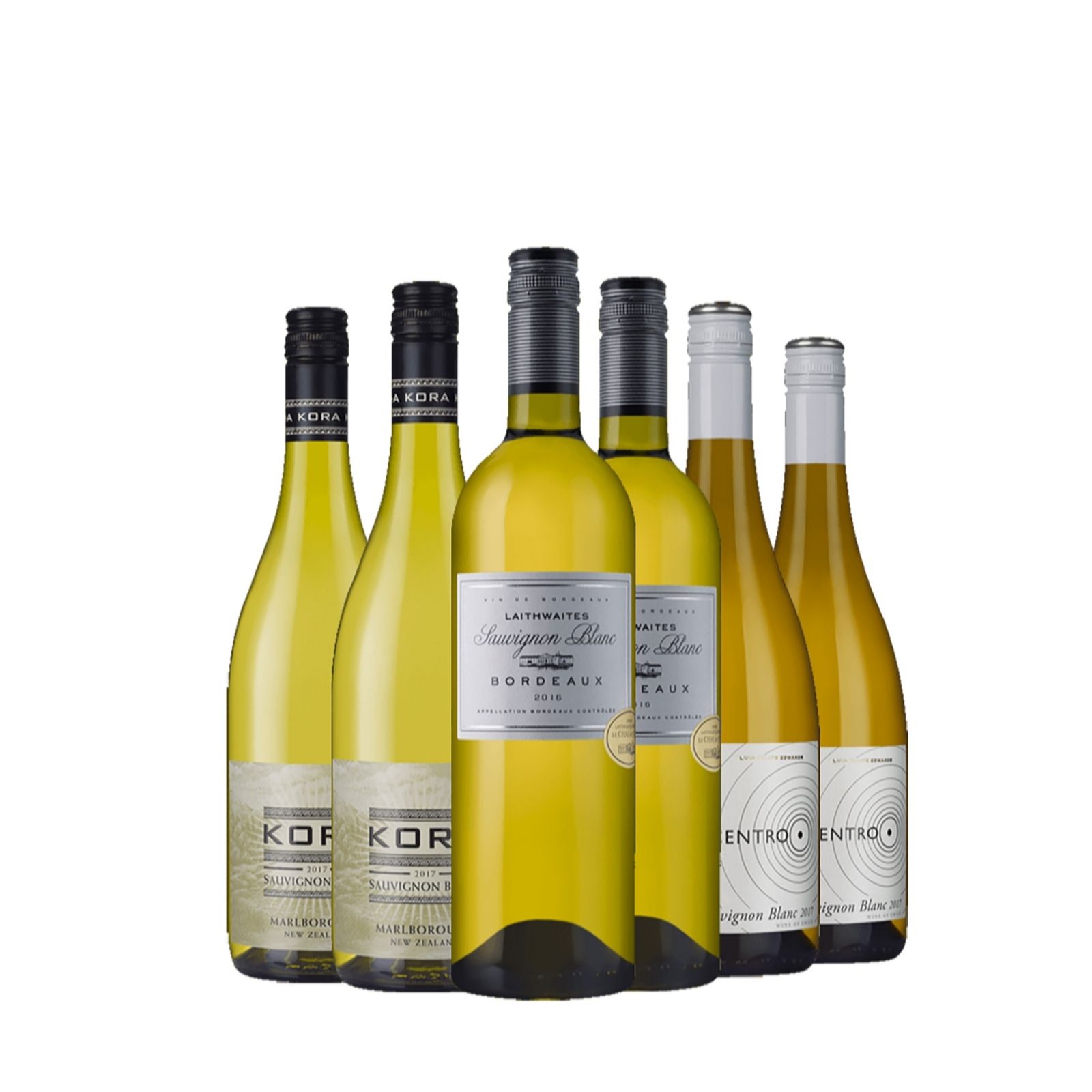 Laithwaite's Wine 6 Bottle Sauvignon Blanc Case QVC UK