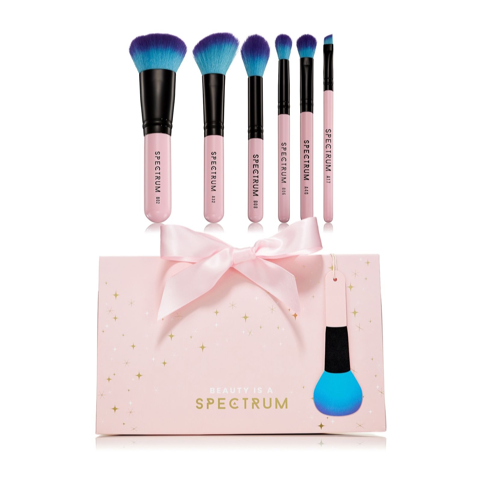 Spectrum Collections 6 Piece Brush Gift Set