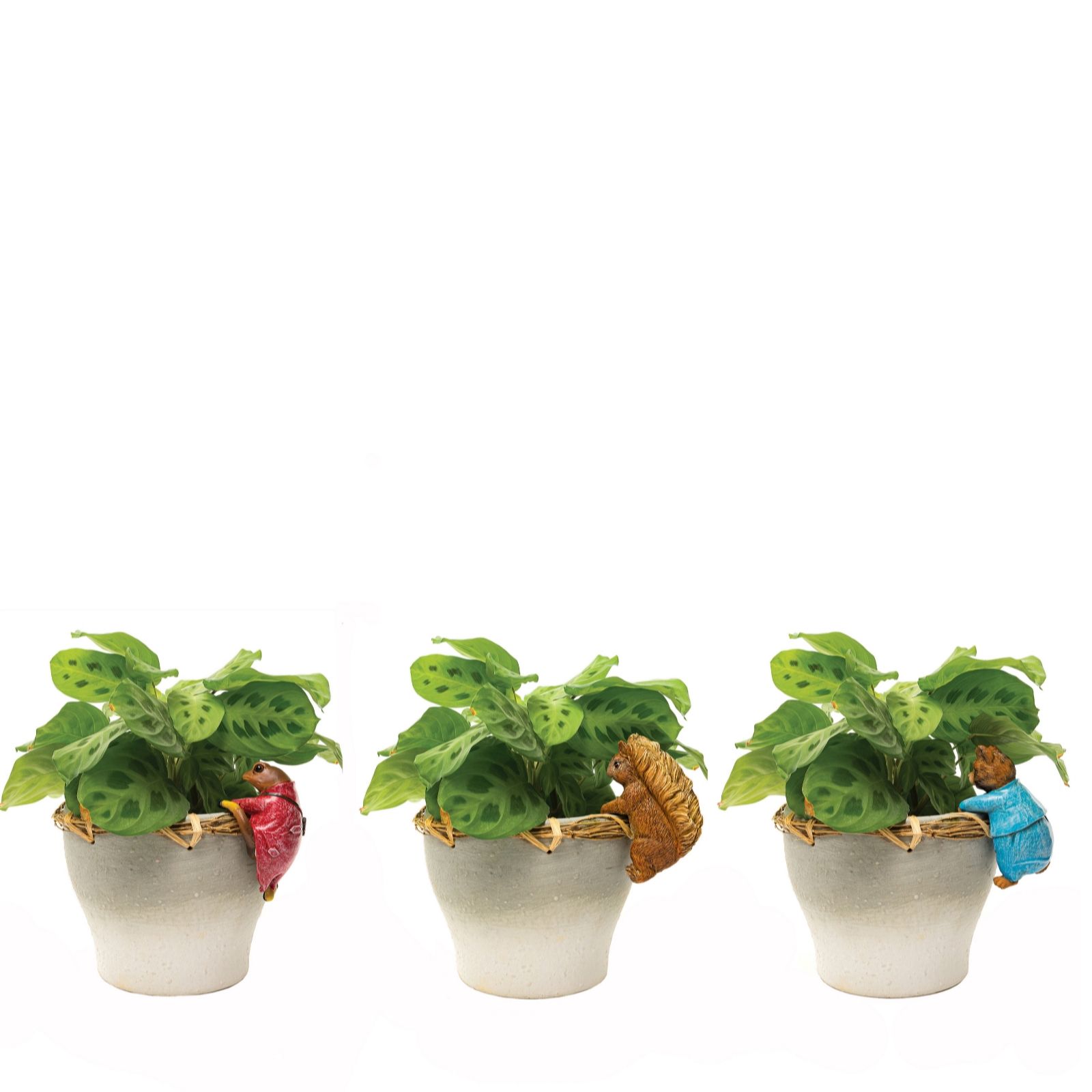 Set of 3 Beatrix Potter Pot Buddies