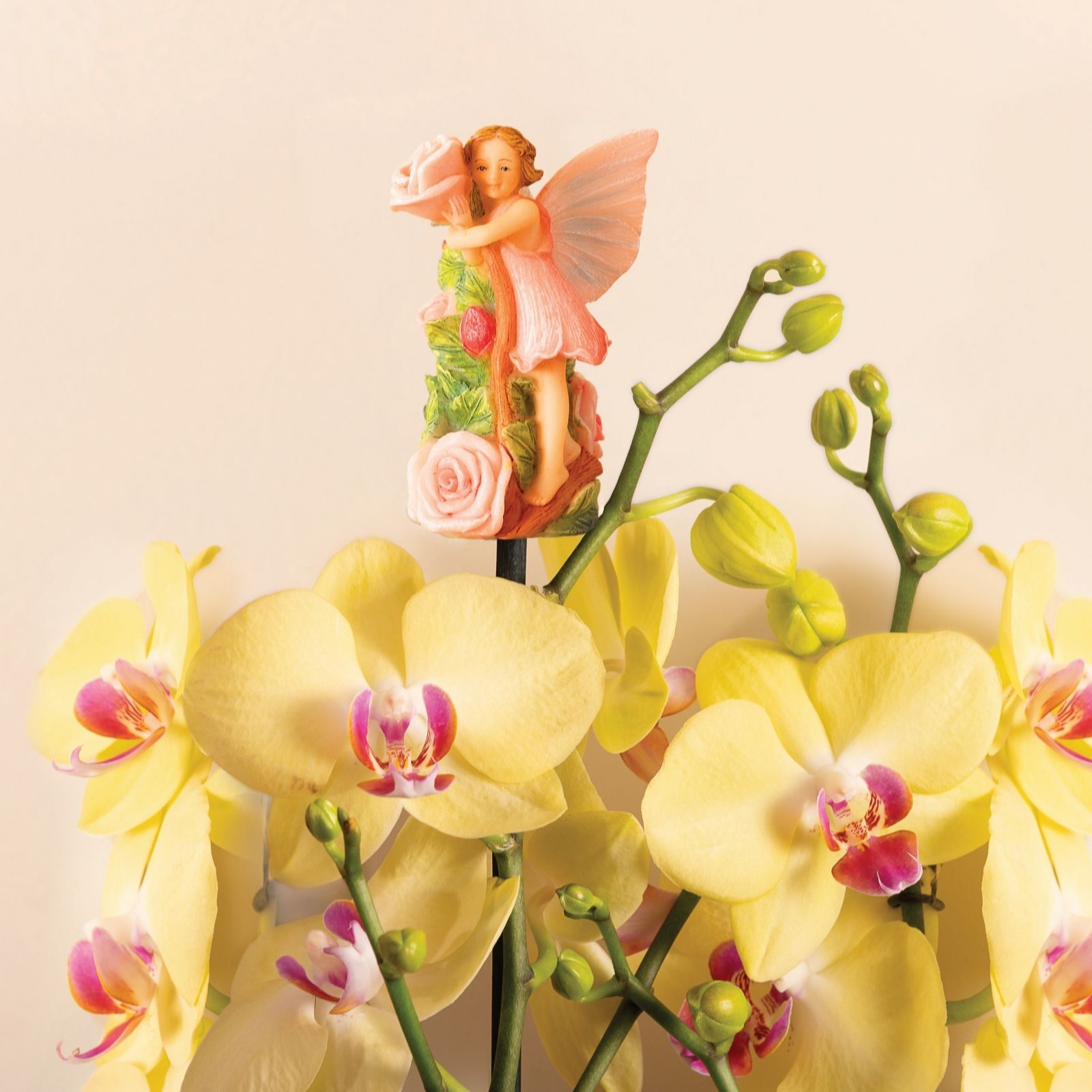 Set of 3 Fairy Cane Companions