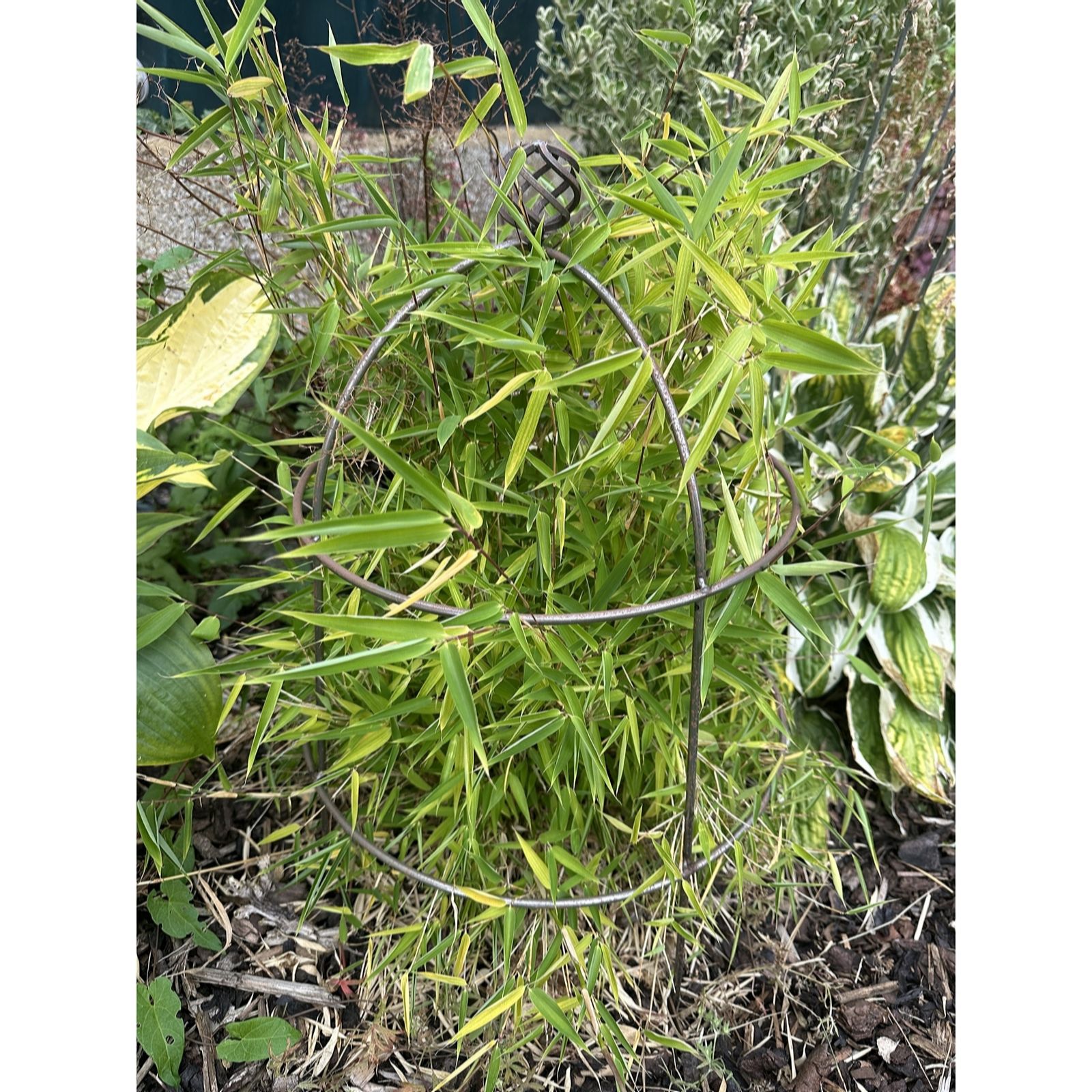 Plants 2 Gardens Plants2gardens Victorian Bell Supports