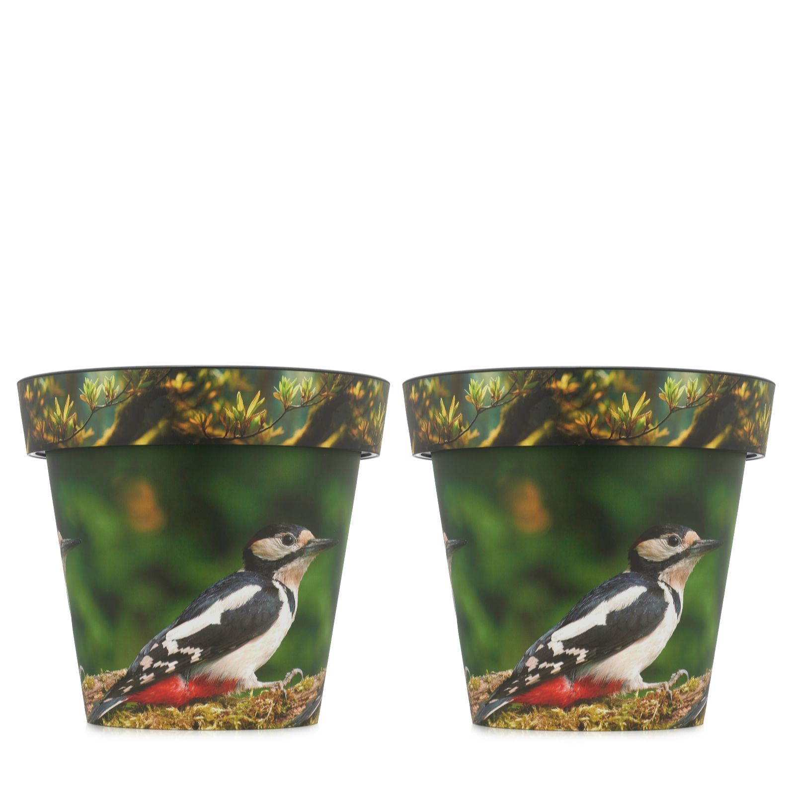 Grumpy Gardener Set Of Two 37.5Cm Xl Songbird Planters
