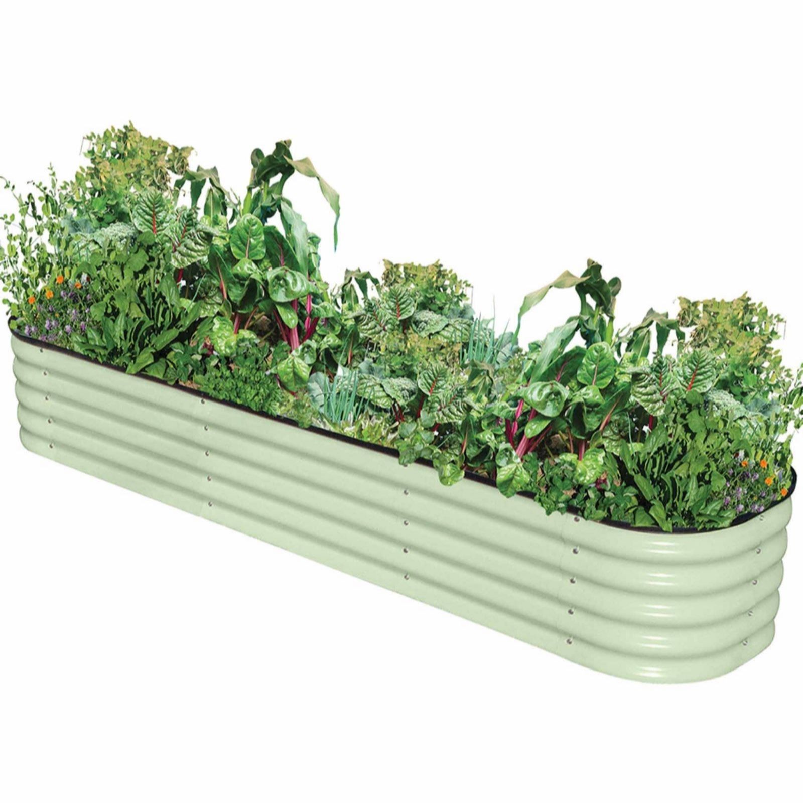 Thompson & Morgan Sage Original Vegebed